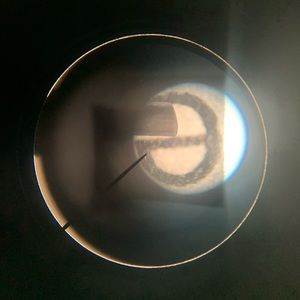 Meet your Posher, Lynn